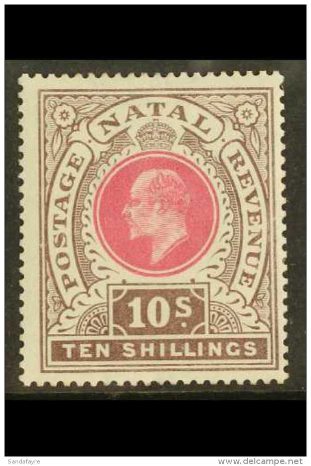 NATAL 1902 10s Deep Rose And Chocolate, SG 141, Very Fine Mint. For More Images, Please Visit... - Non Classés