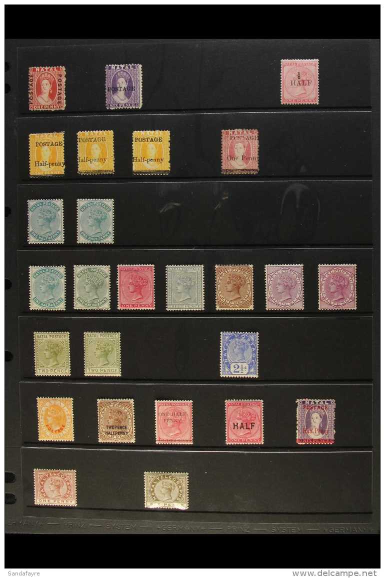 NATAL 1870-95 Fine Mint Collection Which Includes 1870-73 1d Bright Red With "POSTAGE" Vert Opts, 1875-76 6d... - Non Classés