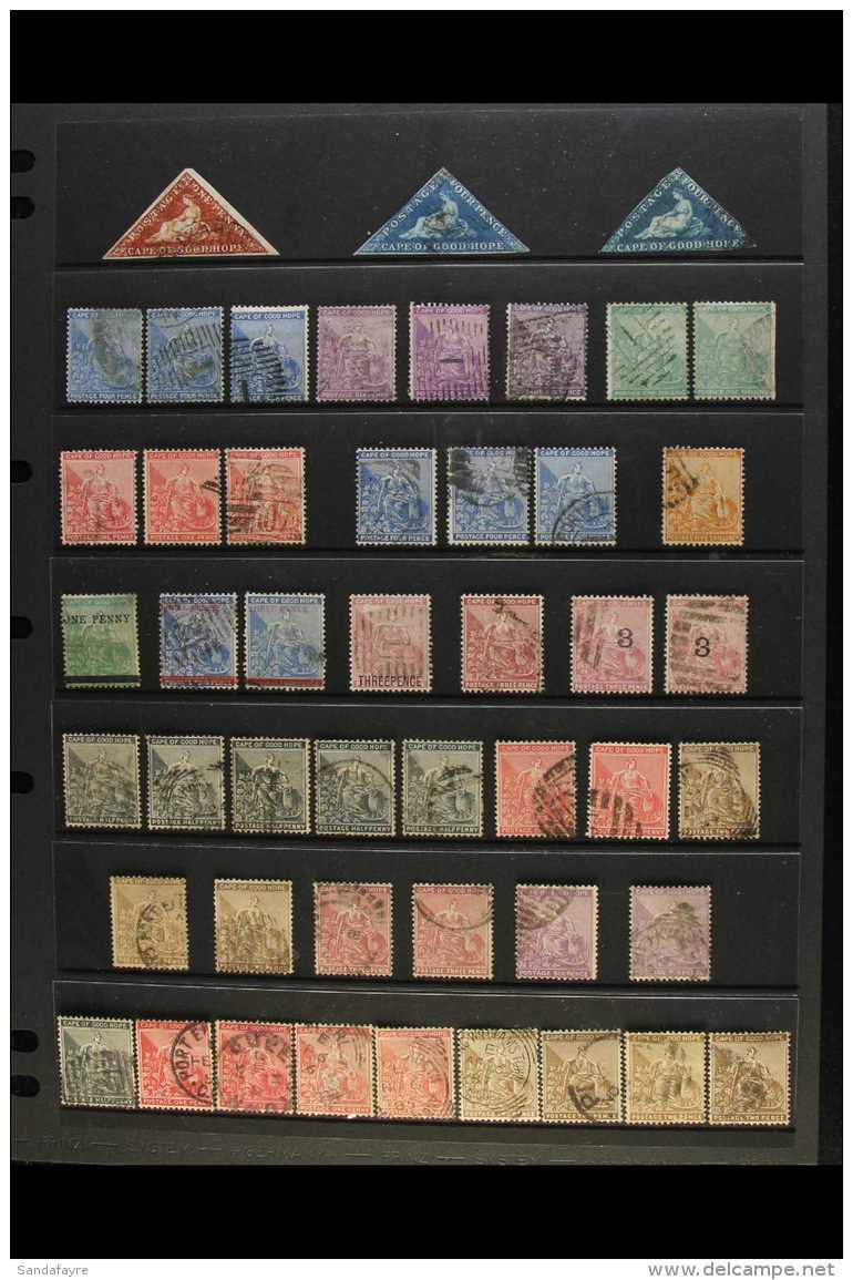 CAPE OF GOOD HOPE 1863-1904 USED COLLECTION On Stock Pages. Includes 1863 1d Triangle, Deep Red Brown, 3 Clear... - Non Classificati