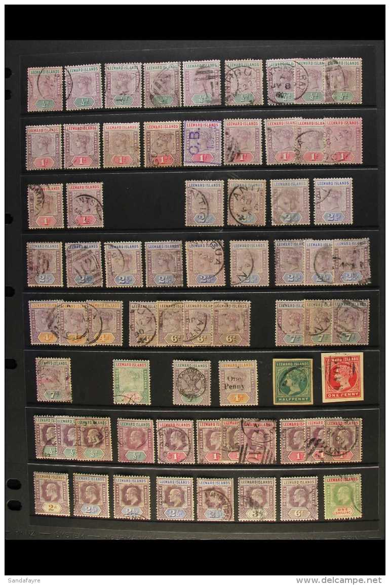 1890-1954 MOSTLY USED ACCUMULATION Presented On Stock Pages. Includes 1890 QV Set To 1s, KEVII To 1s, KGV To... - Leeward  Islands