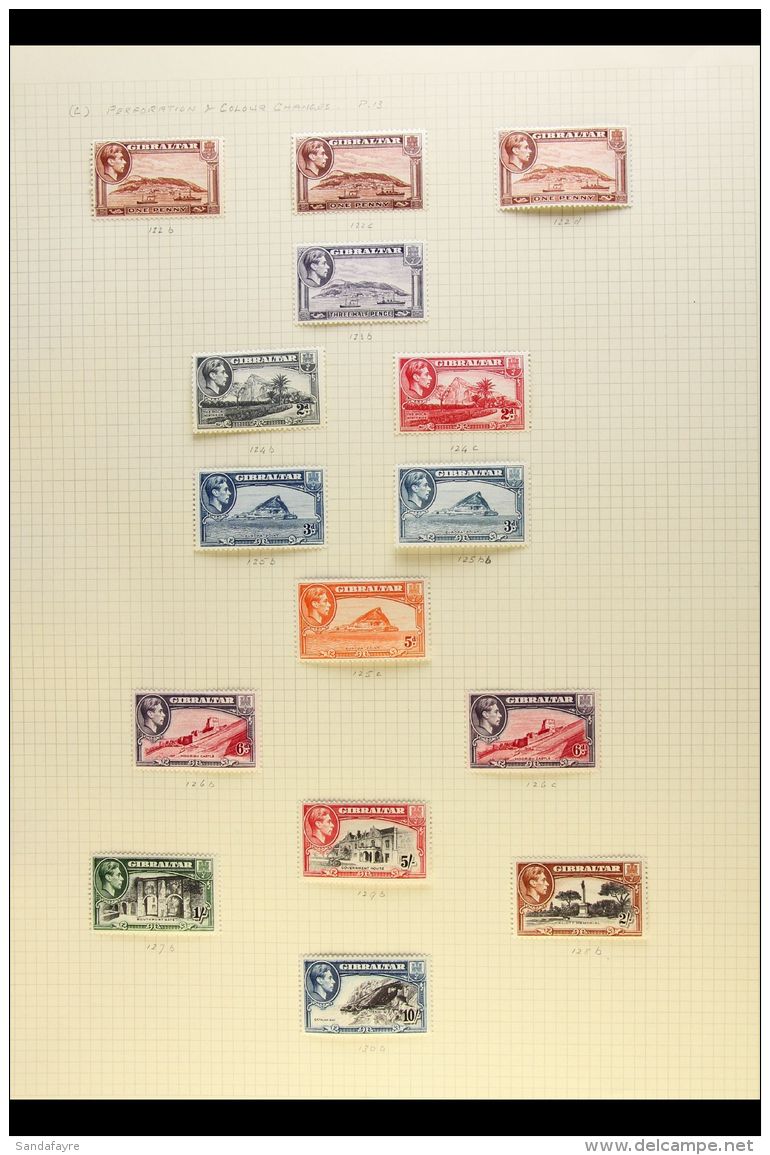 1938-1950 VIRTUALLY COMPLETE SUPERB MINT COLLECTION On Stock Pages, Most Commems As Blocks Of 4 Otherwise All... - Gibraltar