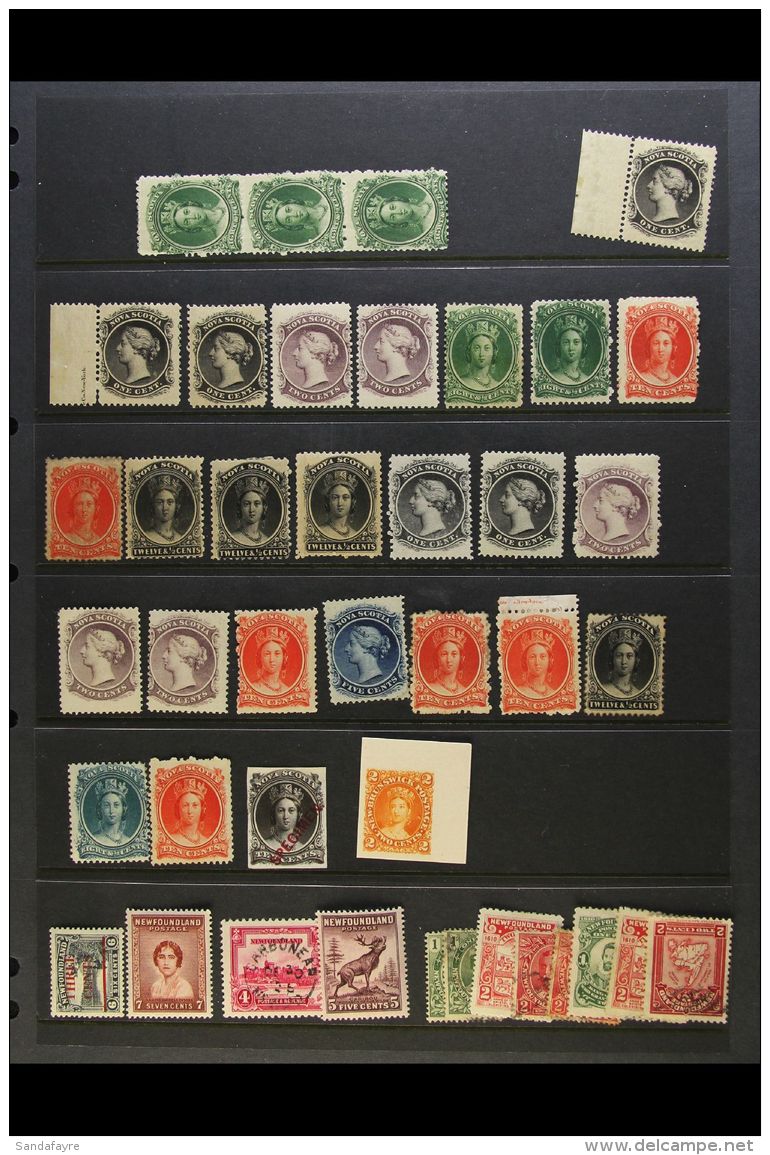 PROVINCES LOVELY LITTLE GOLD MINE LOT Of Chiefly Never Hinged Mint Stamps &amp; Proofs. We See A NOVA SCOTIA Range... - Altri & Non Classificati