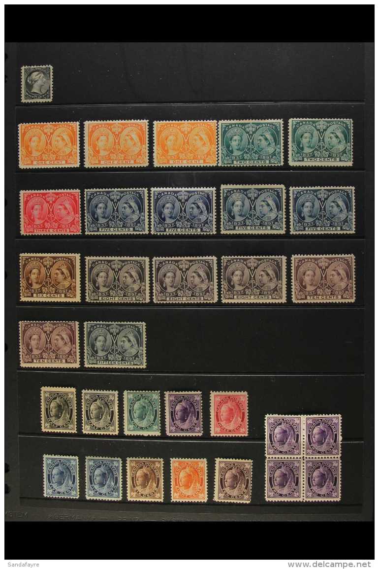 1882-1908 MINT COLLECTION On Stock Pages, Inc 1882-97 &frac12;d, 1897 Jubilee To 2c (x2), 5c (x4), 6c, 8c (x3),... - Autres & Non Classés