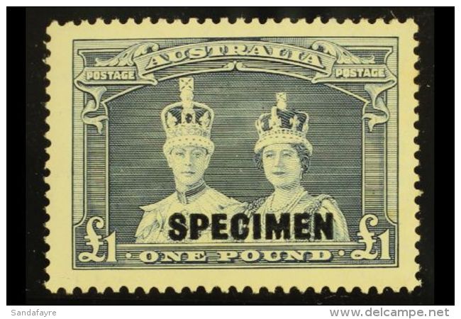 1938 &pound;1 Bluish Slate "Robes" Overprinted "SPECIMEN", SG 178s, Never Hinged Mint. Very Scarce And Desirable.... - Altri & Non Classificati