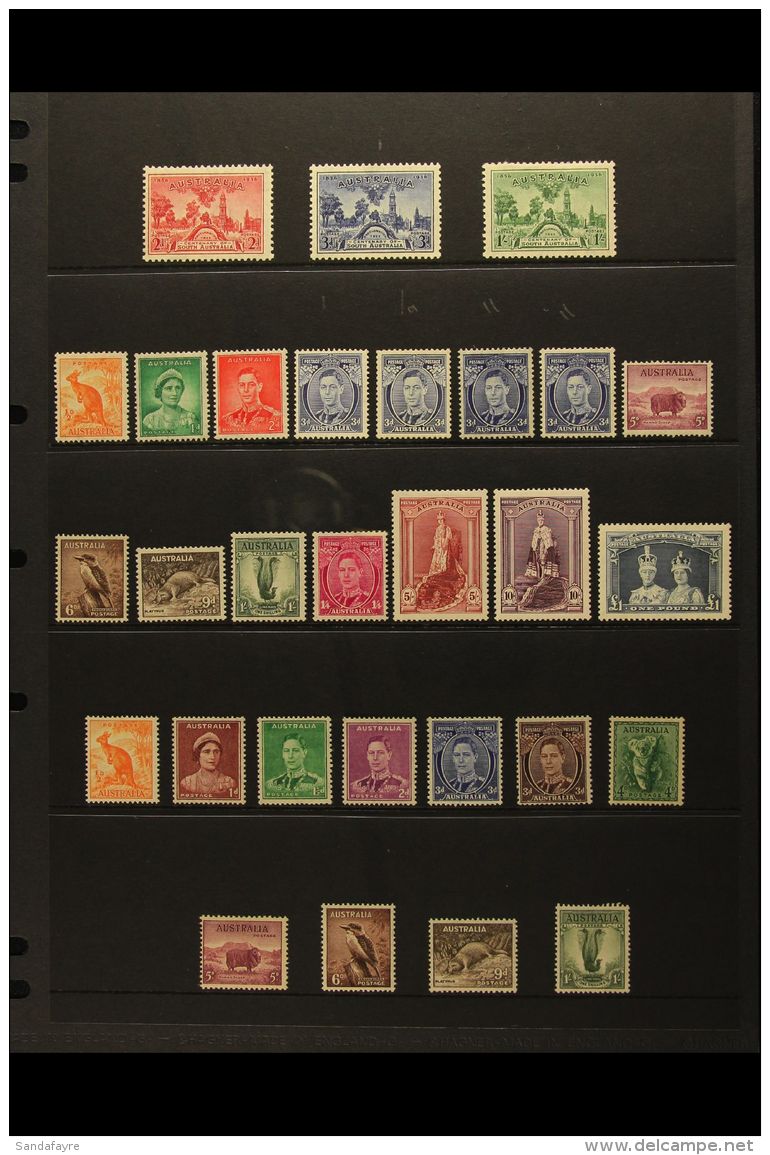 1936-49 VERY FINE MINT SELECTION Presented On A Stock Page. Includes 1936 South Australia Centenary Set, Defins... - Altri & Non Classificati