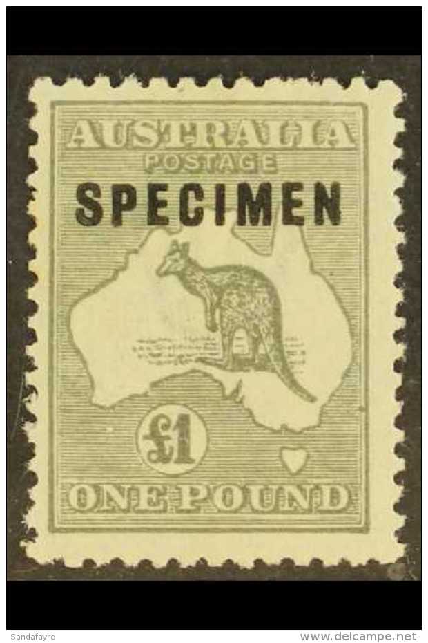 1923-24 &pound;1 Grey Kangaroo With SPECIMEN Overprint, SG 75a, Fine Mint, Light Stain On Back. For More Images,... - Altri & Non Classificati
