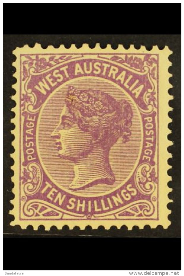 WESTERN AUSTRALIA 1902-11 10s Deep Mauve Perf 12x12&frac12;, SG 127, Fine Mint, Usual Streaky Gum For More Images,... - Altri & Non Classificati