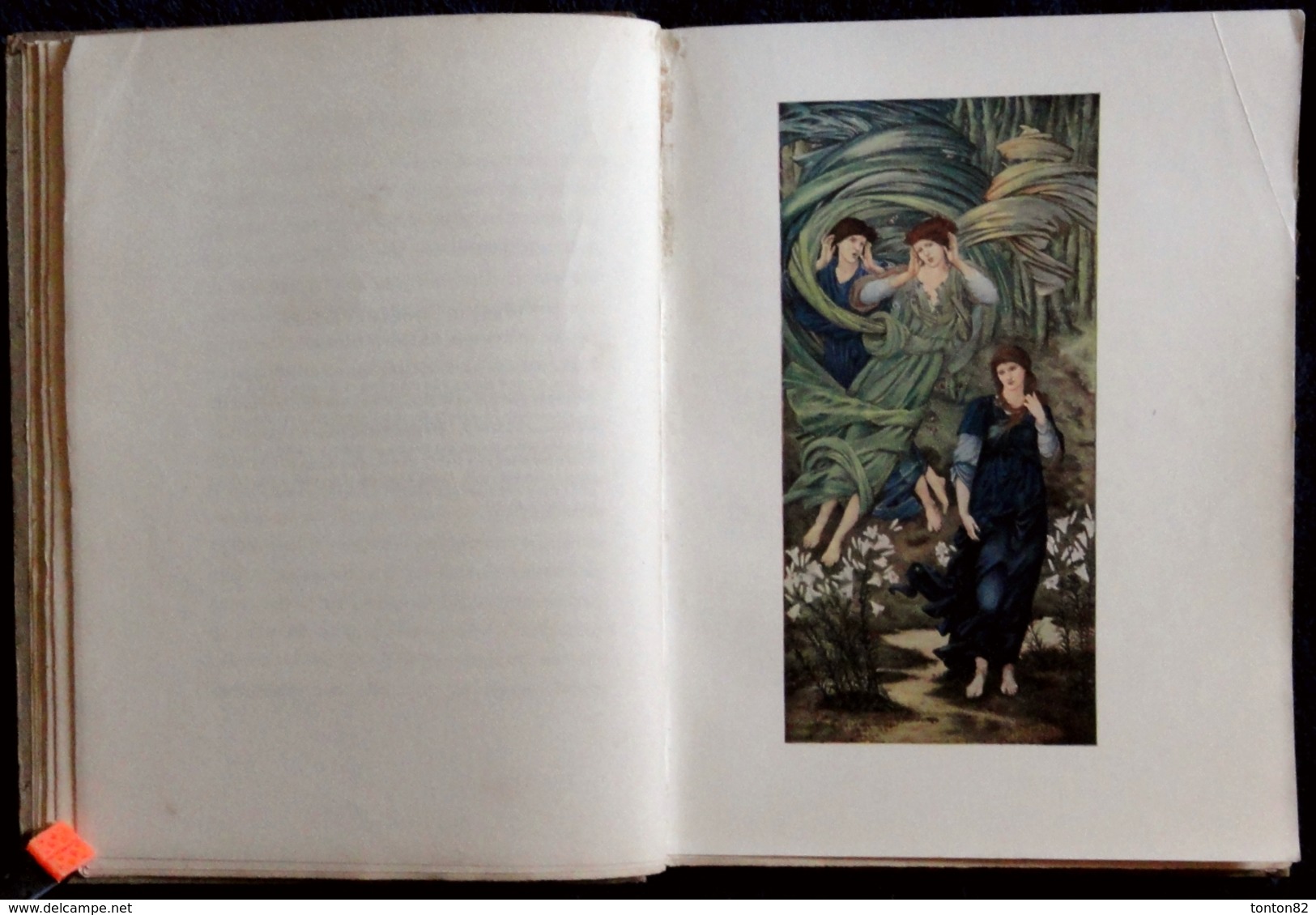 Burne - Jones - Masterpieces in Colour