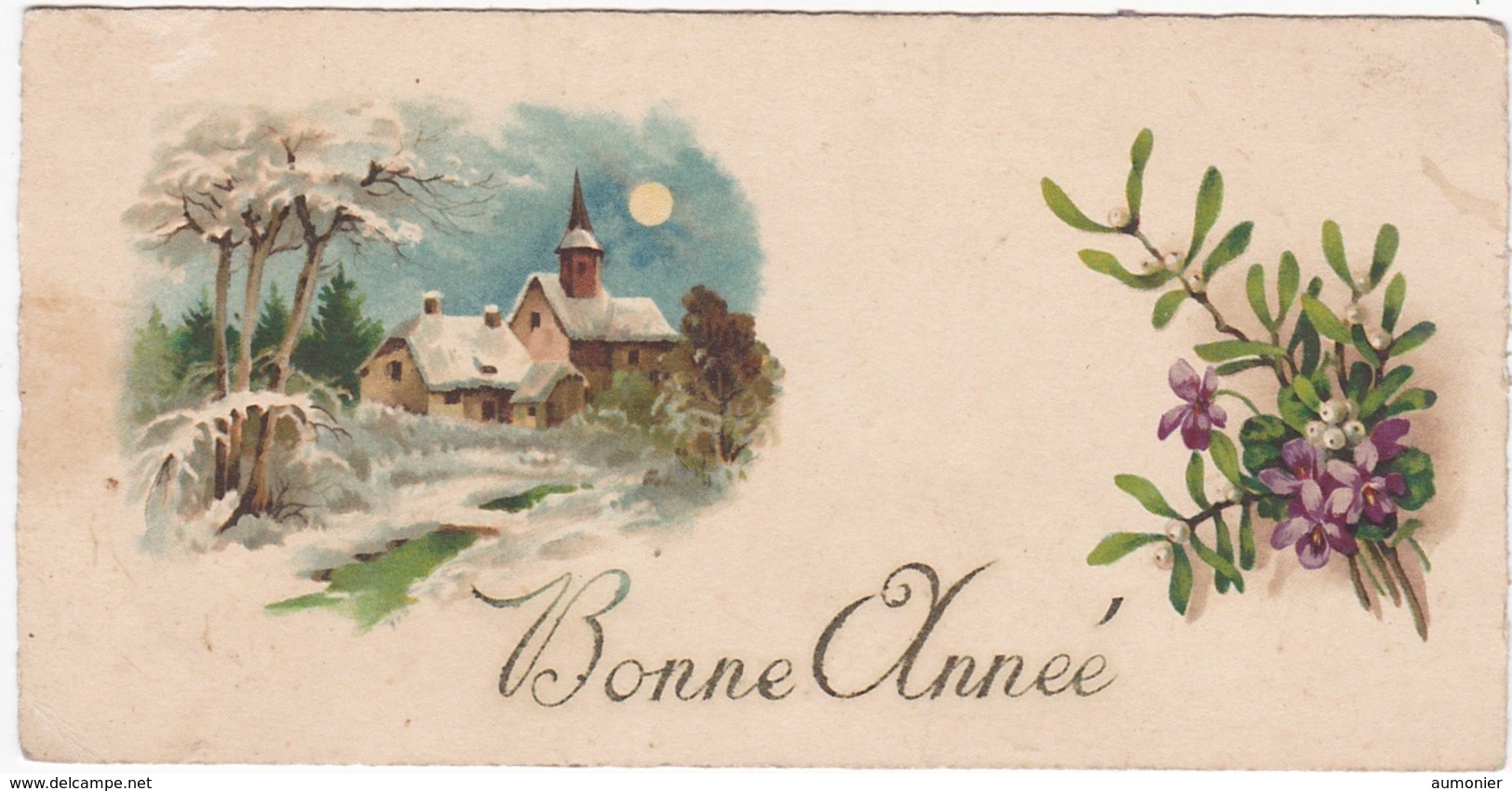 CARTE BONNE ANNEE - Paysage De Neige Et Fleurs . - Neujahr