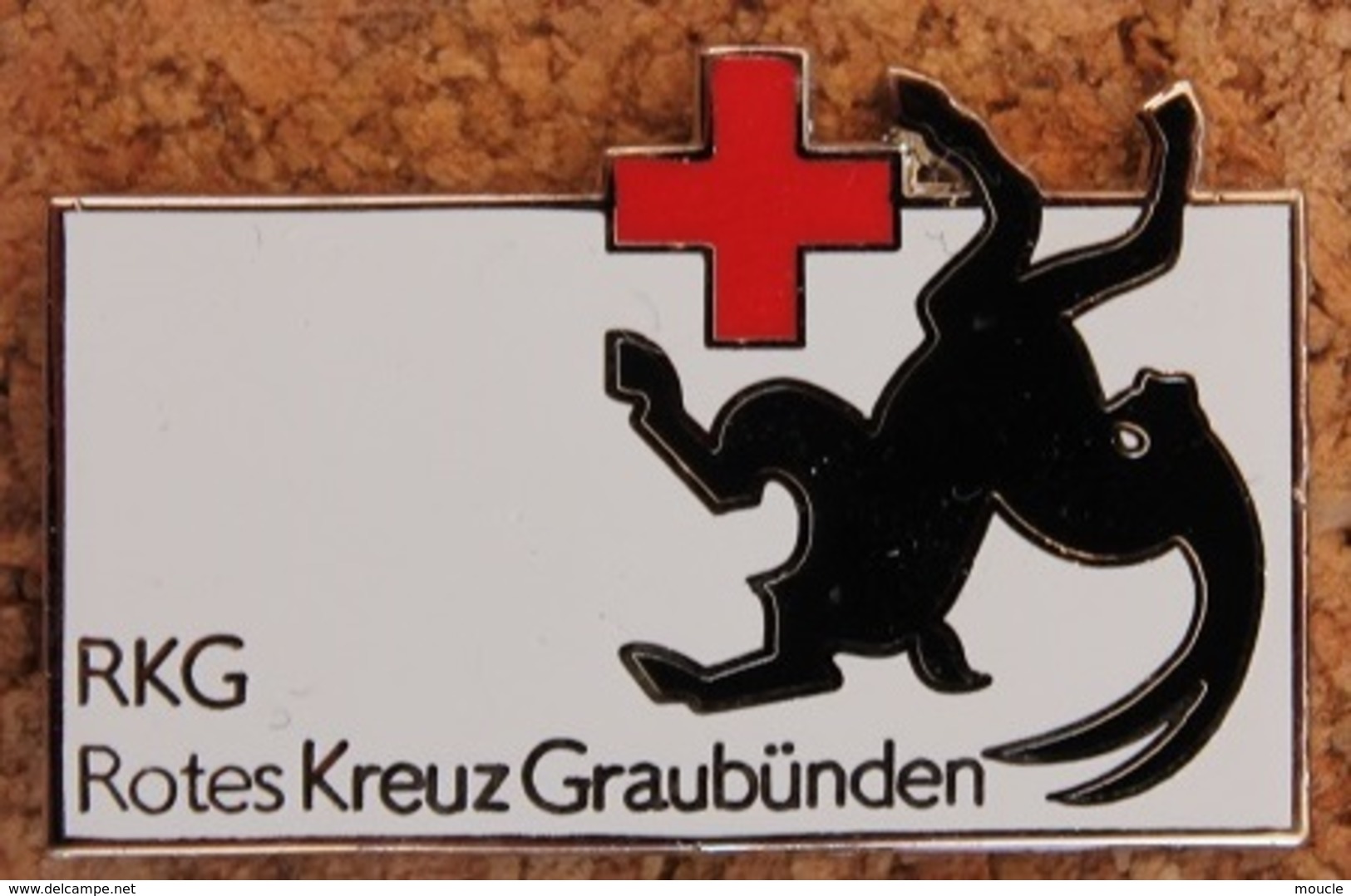 CROIX ROUGE DU CANTON DES GRISONS - SUISSE - ROTES KREUZ GRAUBÜNDEN - RKG - SCHWEIZ  -         (14) - Médical