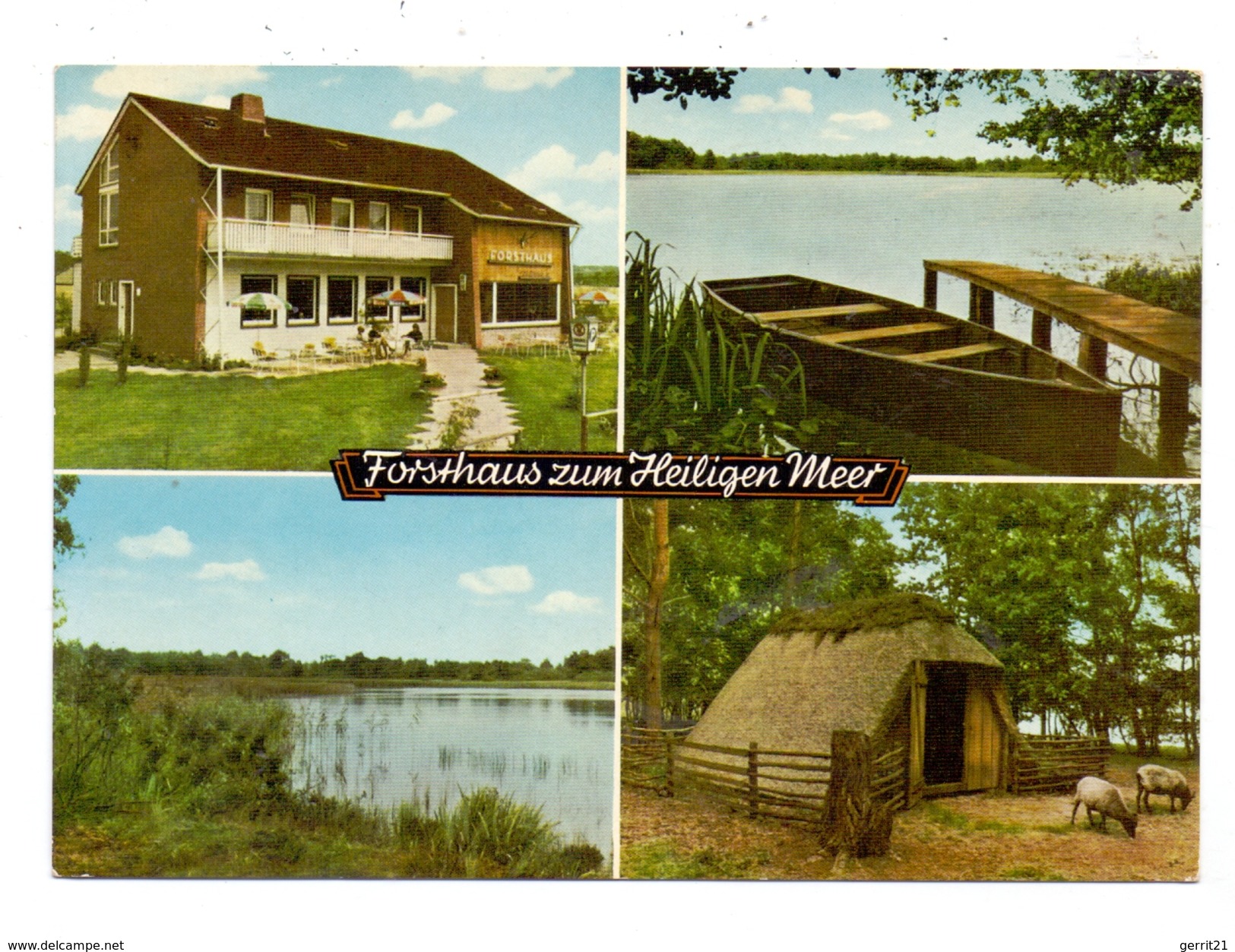 4534 RECKE - STEINBECK, Forsthaus Zum Heiligen Meer, 1964 - Steinfurt