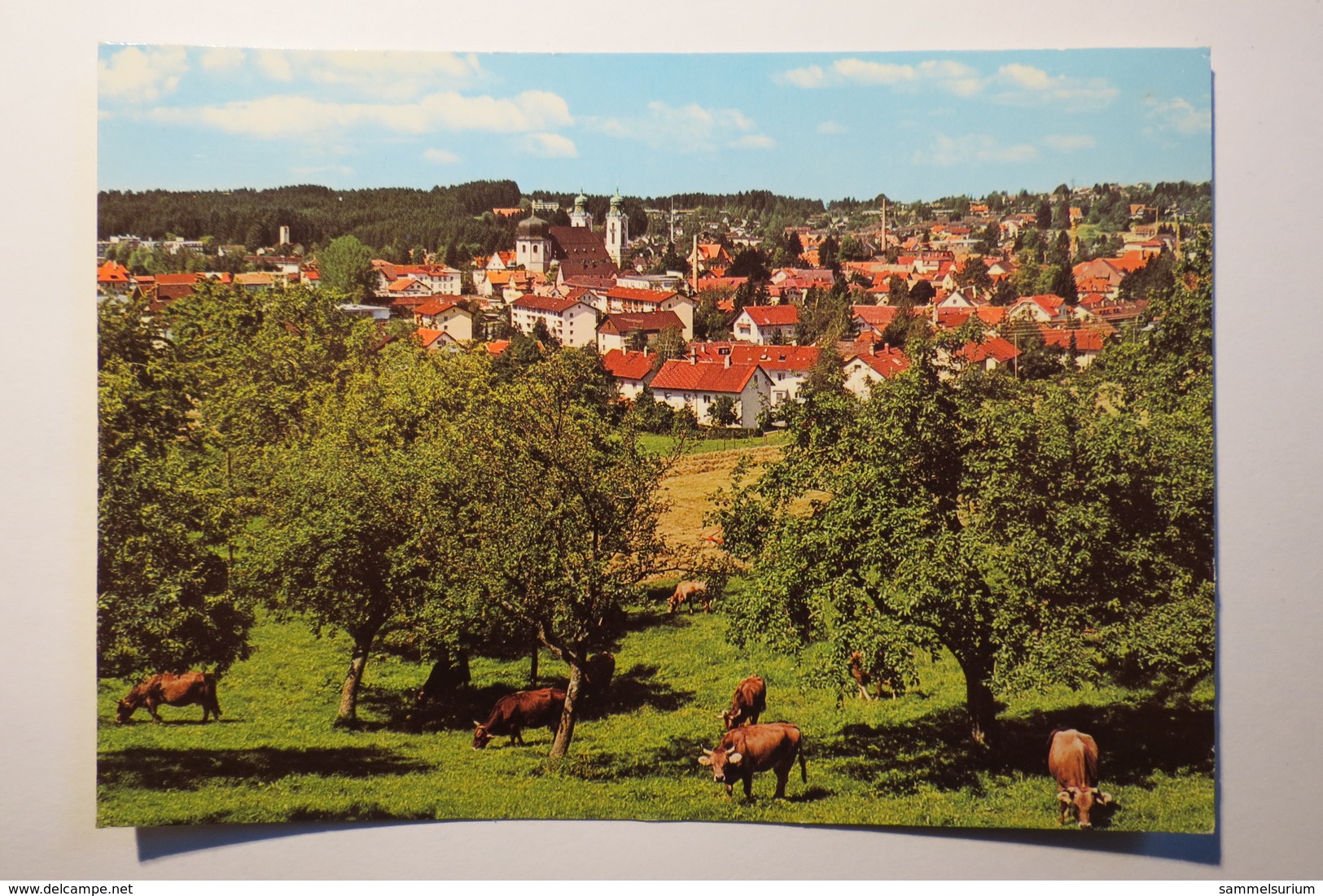 (9/4/65) AK "Lindenberg" Im Allgäu, Panorama - Lindenberg I. Allg.