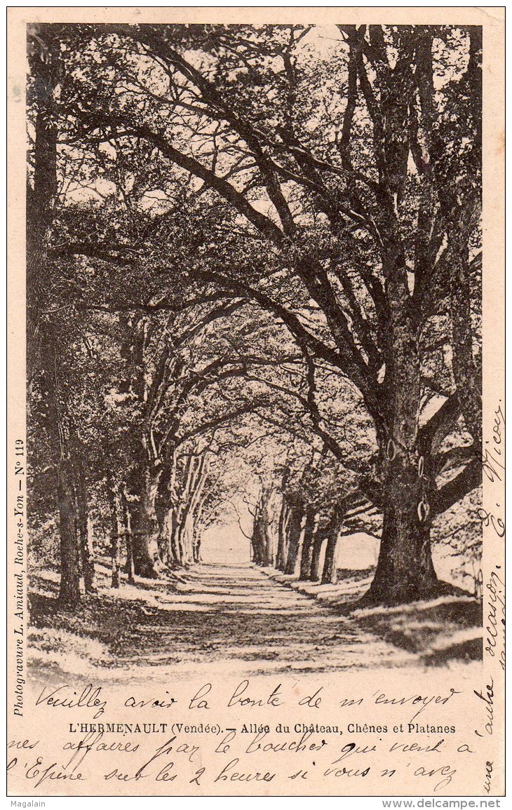 L'Hermenault : Allée Du Château, Chênes Et Platanes - L'Hermenault