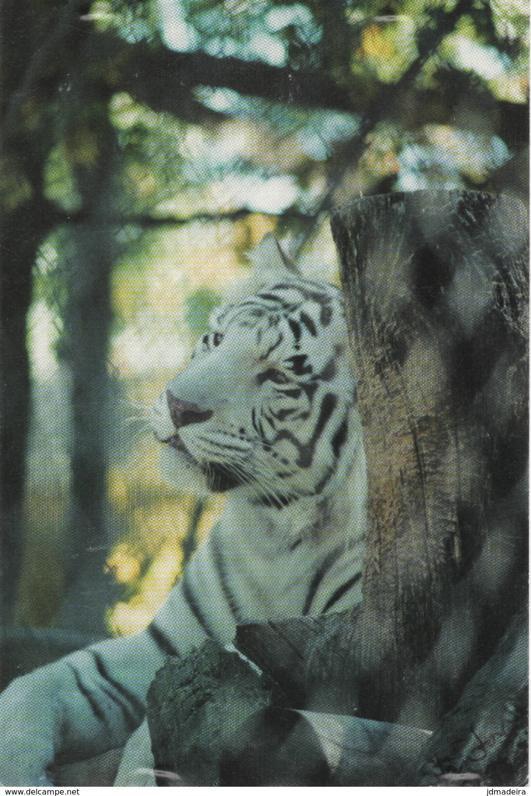 TIGER &ndash; Norway Postcard To Portugal With Christmas Stamps - Tigres