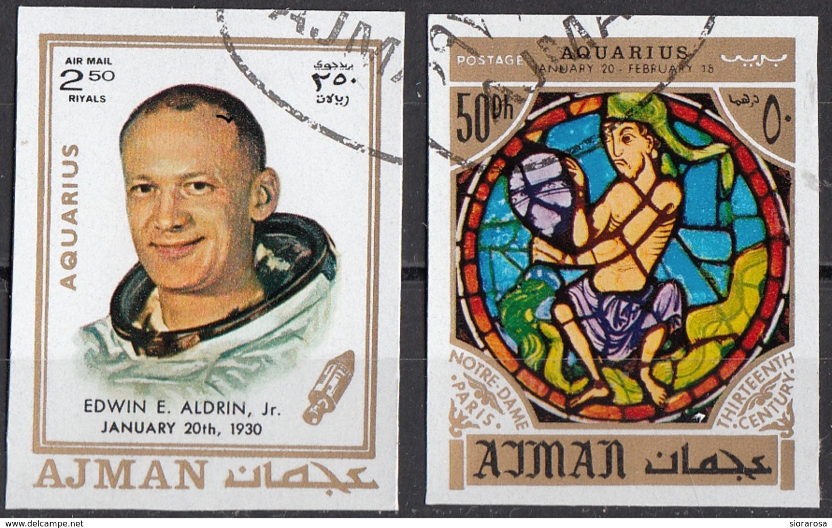 779 Ajman 1971 Buzz Edwin Aldrin Apollo 11 - Zodiaco Acquario Aquarius - Stainled Glass Window Vetrata Notre Dame - Astrologia