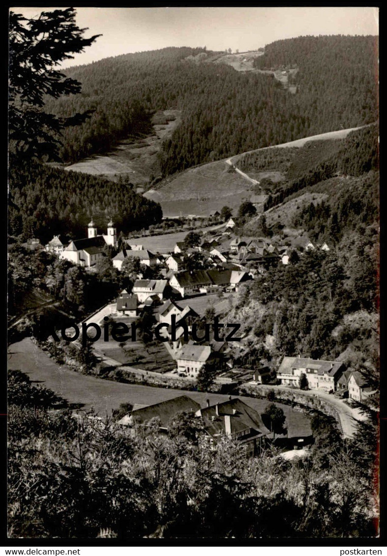 ÄLTERE POSTKARTE LUFTKURORT SCHAPBACH IM WOLFTAL PANORAMA SCHWARZWALD Bad Rippoldsau Postcard Ansichtskarte Cpa AK - Bad Rippoldsau - Schapbach