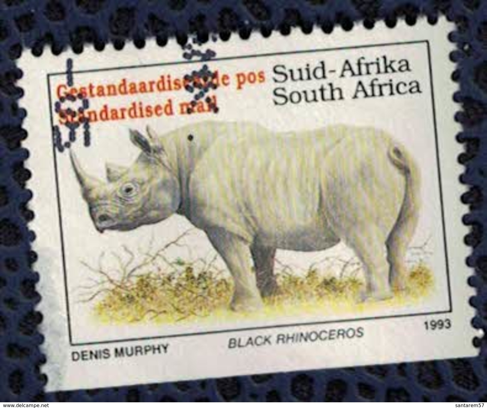 Afrique Du Sud 1993 Oblitéré Used Animaux Sauvages Diceros Bicornis Rhinocéros Noir SU - Used Stamps