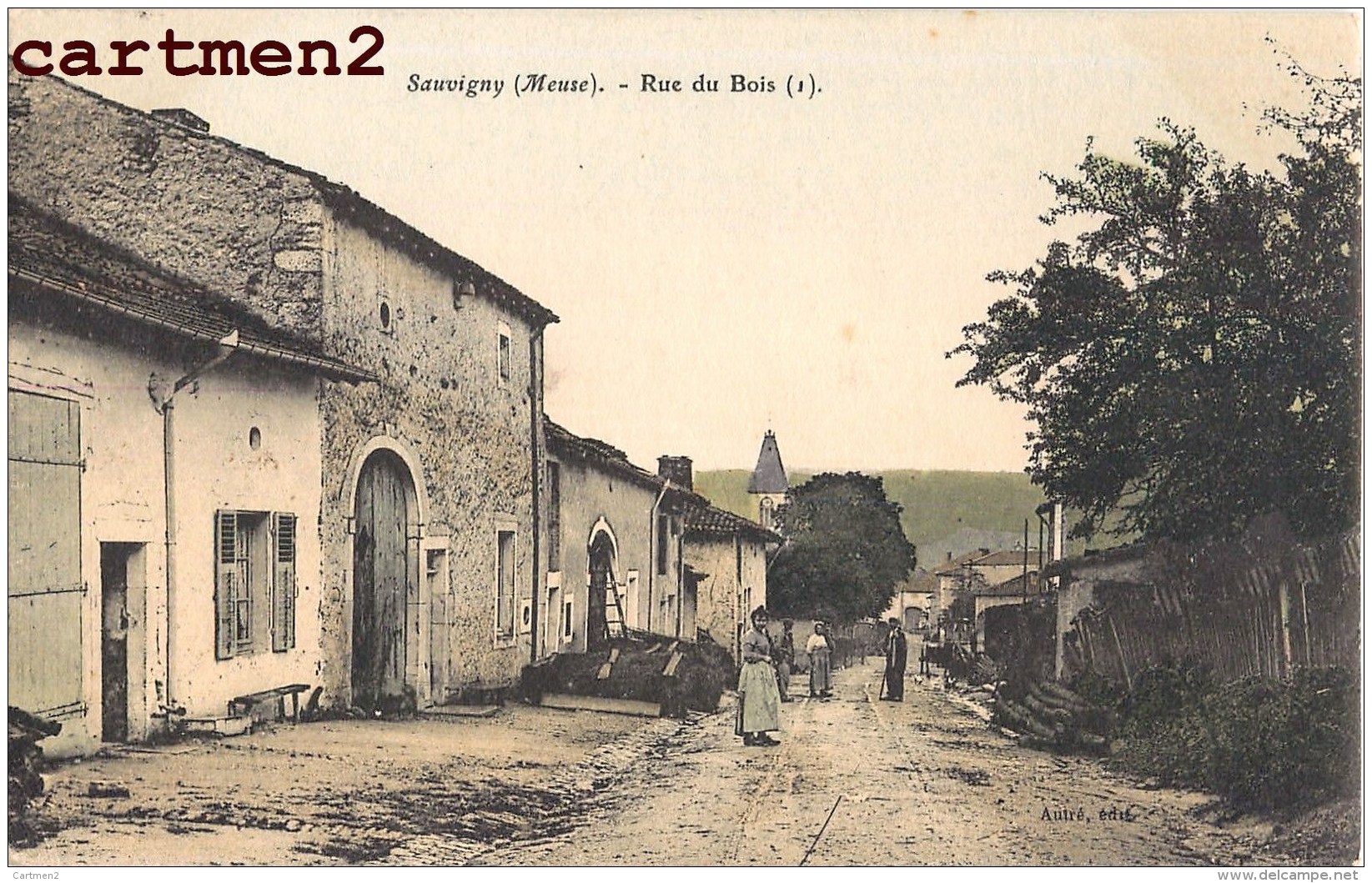 SAUVIGNY RUE DU BOIS ANIMEE 55 MEUSE - Autres & Non Classés