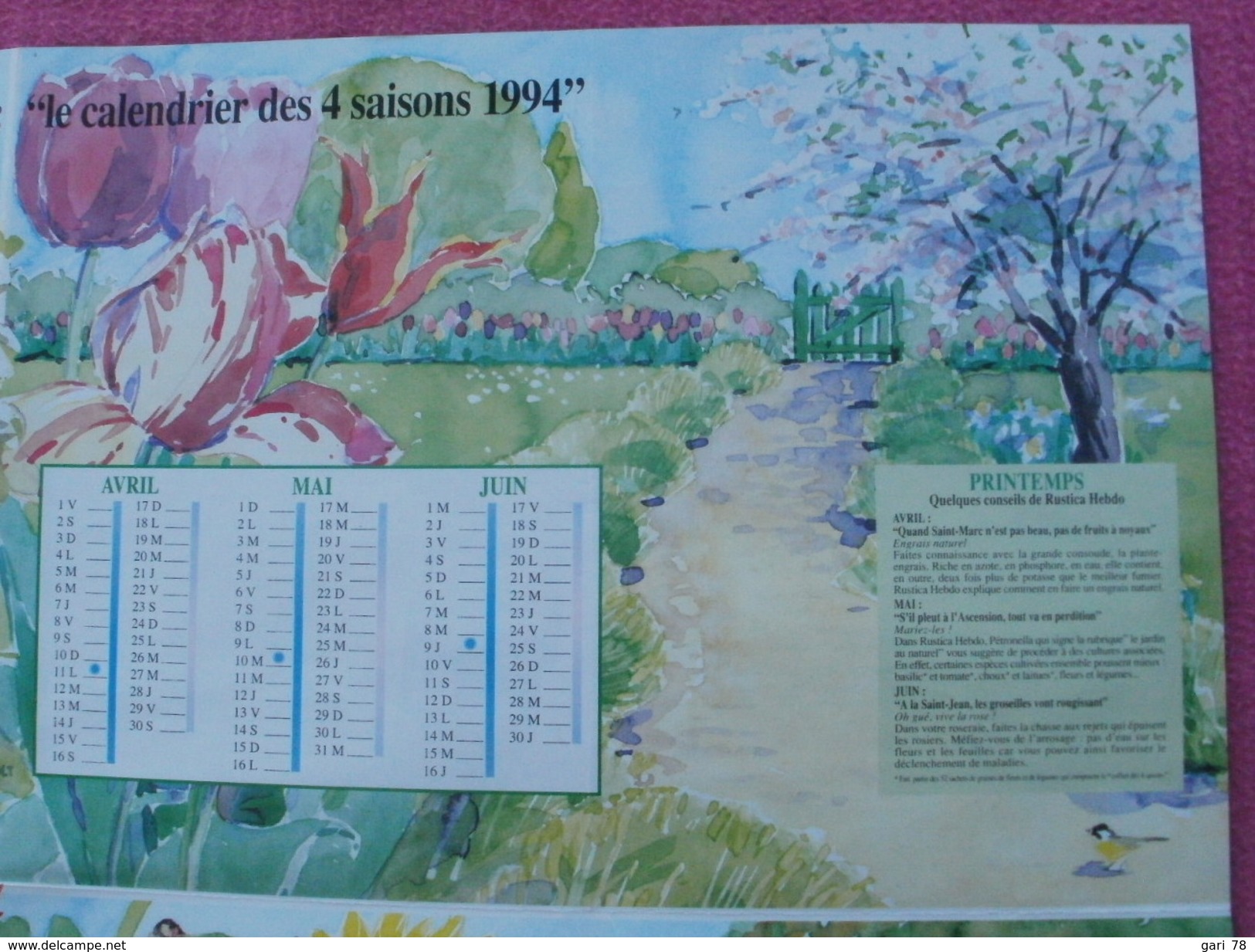 "CALENDRIER Des 4 Saisons 1994" Par RUSTICA, Genre Poster - Grand Format : 1991-00