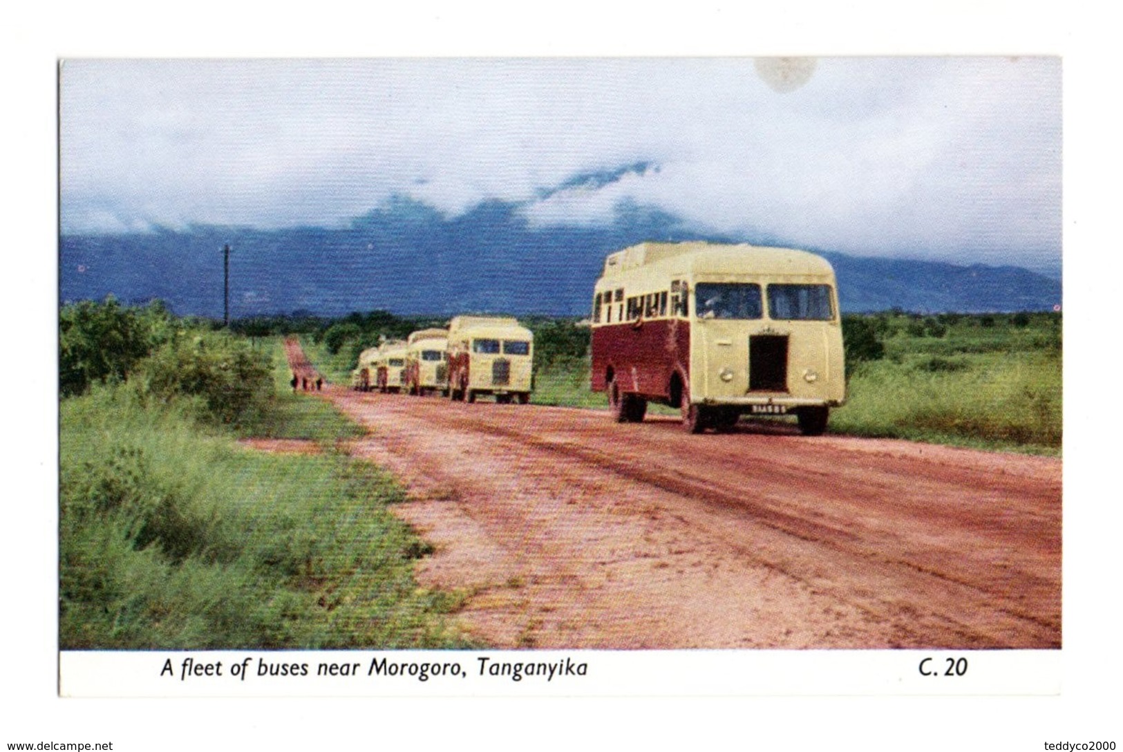 MOROGORO Afleet Of Buses (Tanganika) East African Railways - Tanzanie