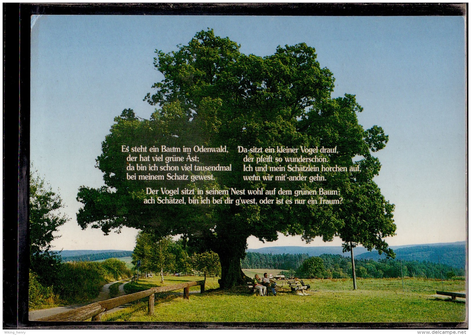 Odenwald - Gedicht Es Steht Ein Baum Im Odenwald - Odenwald