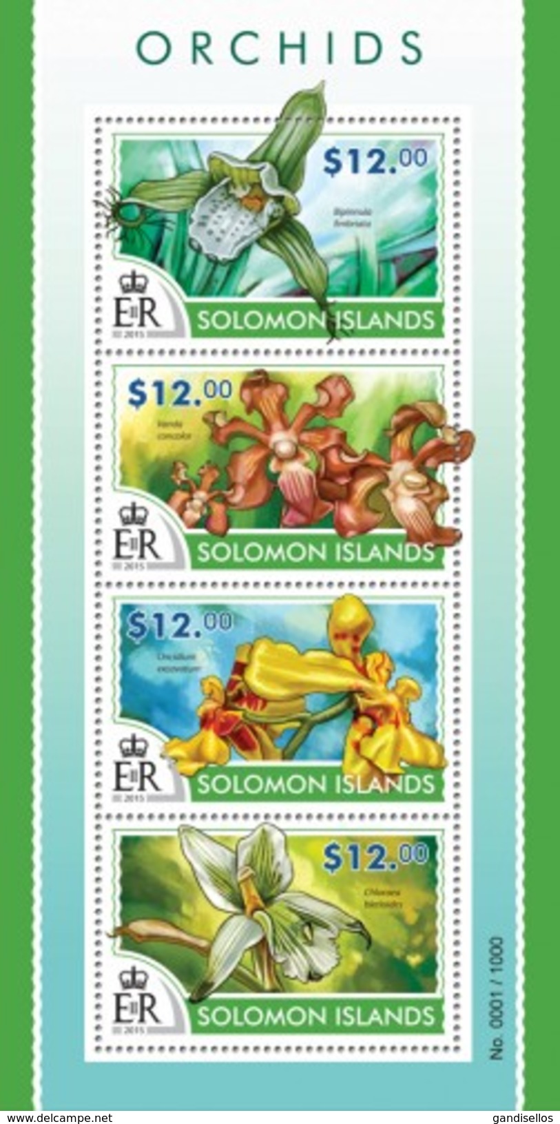 SOLOMON ISLANDS 2015 SHEET ORCHIDEES ORCHIDEEN ORCHIDEE ORQUIDEAS ORCHIDS FLOWERS FLEURS FLORES Slm15301a - Solomon Islands (1978-...)