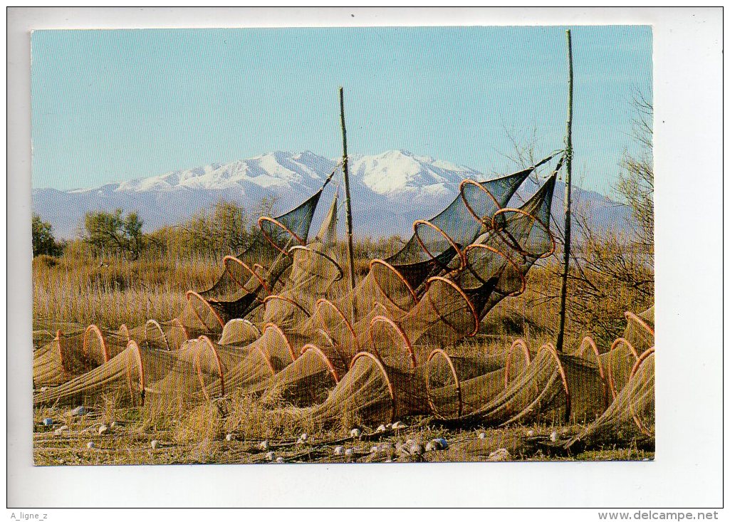 REF 280  : CPSM En Roussillon Nasses De Pecheur De L'étant Le Canigou - Altri & Non Classificati