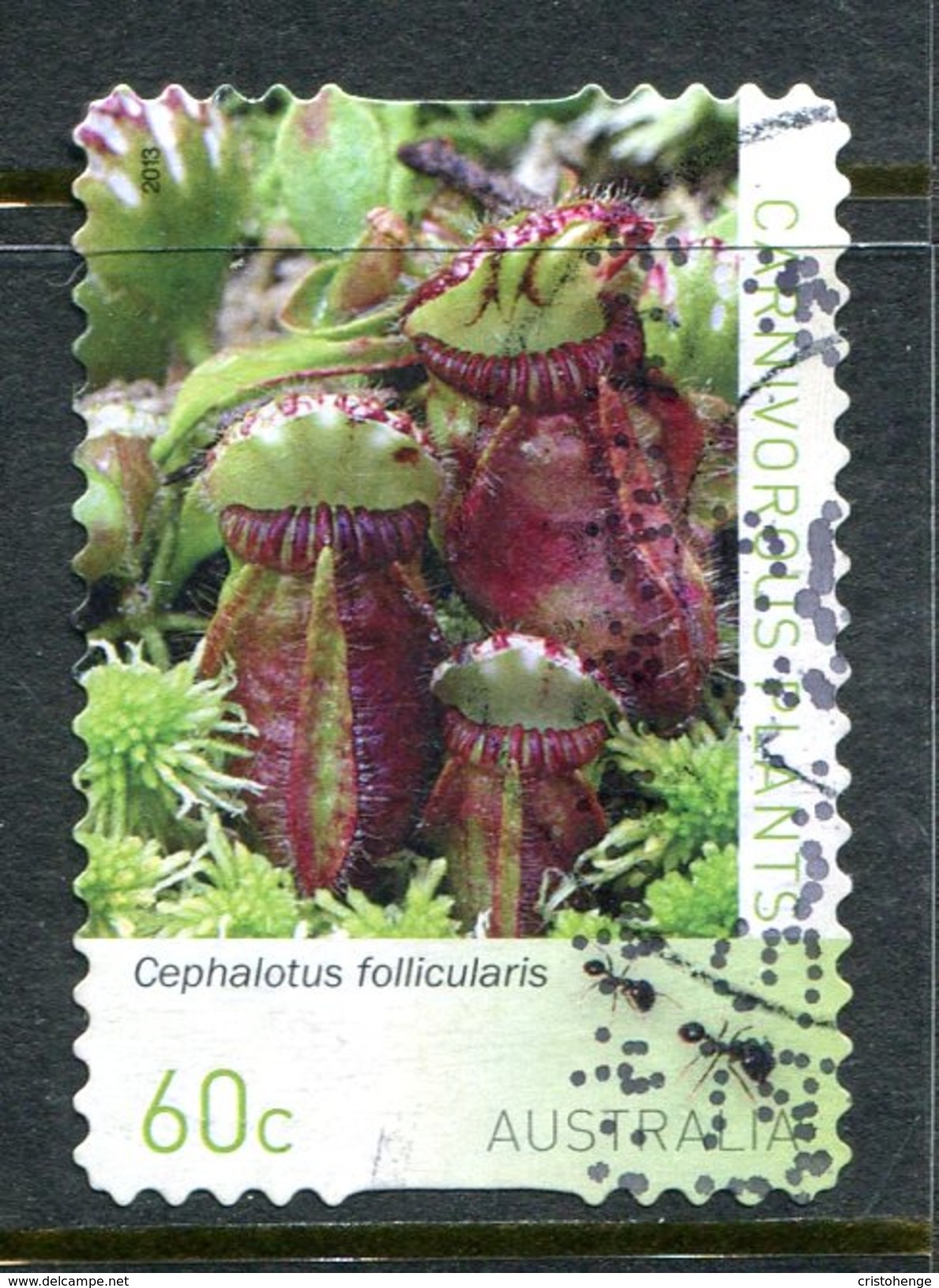 Australia 2013 Carnivorous Plants - 60c Self-adhesive Used - Usati