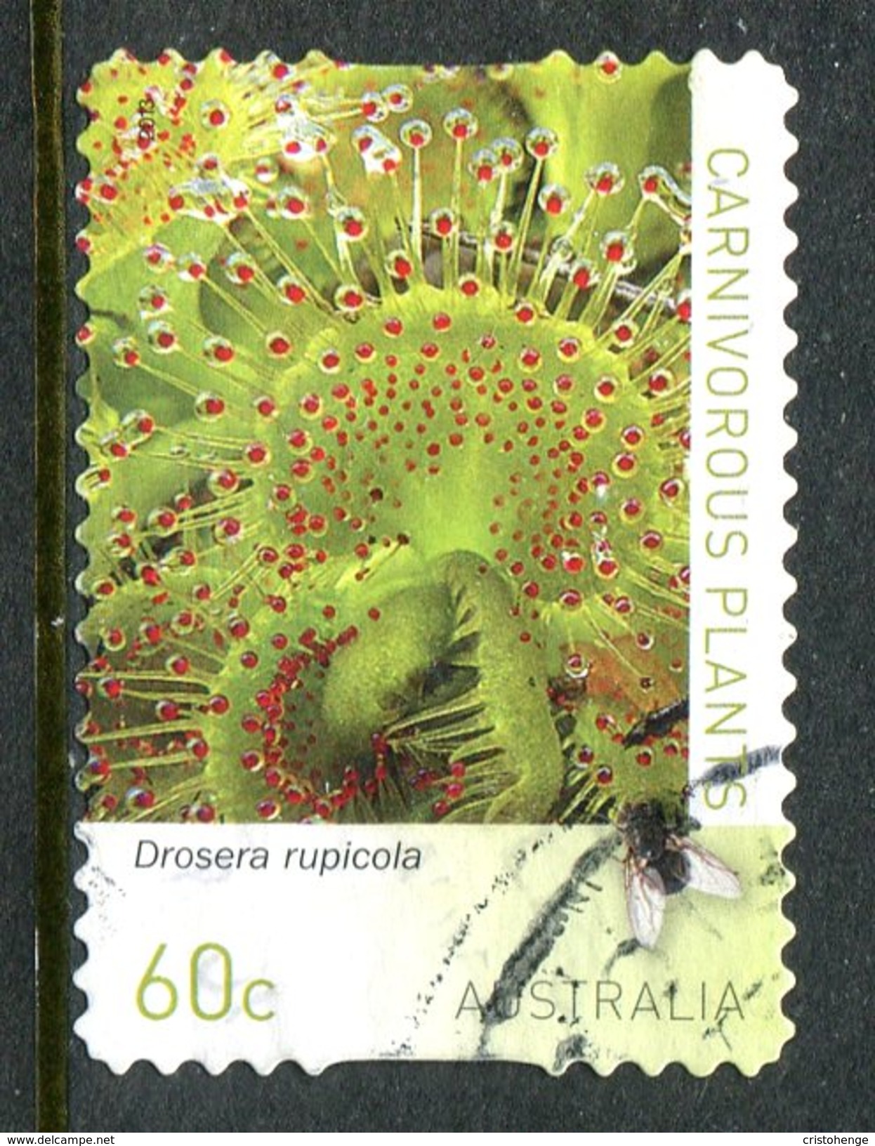 Australia 2013 Carnivorous Plants - 60c Self-adhesive Used - Usati