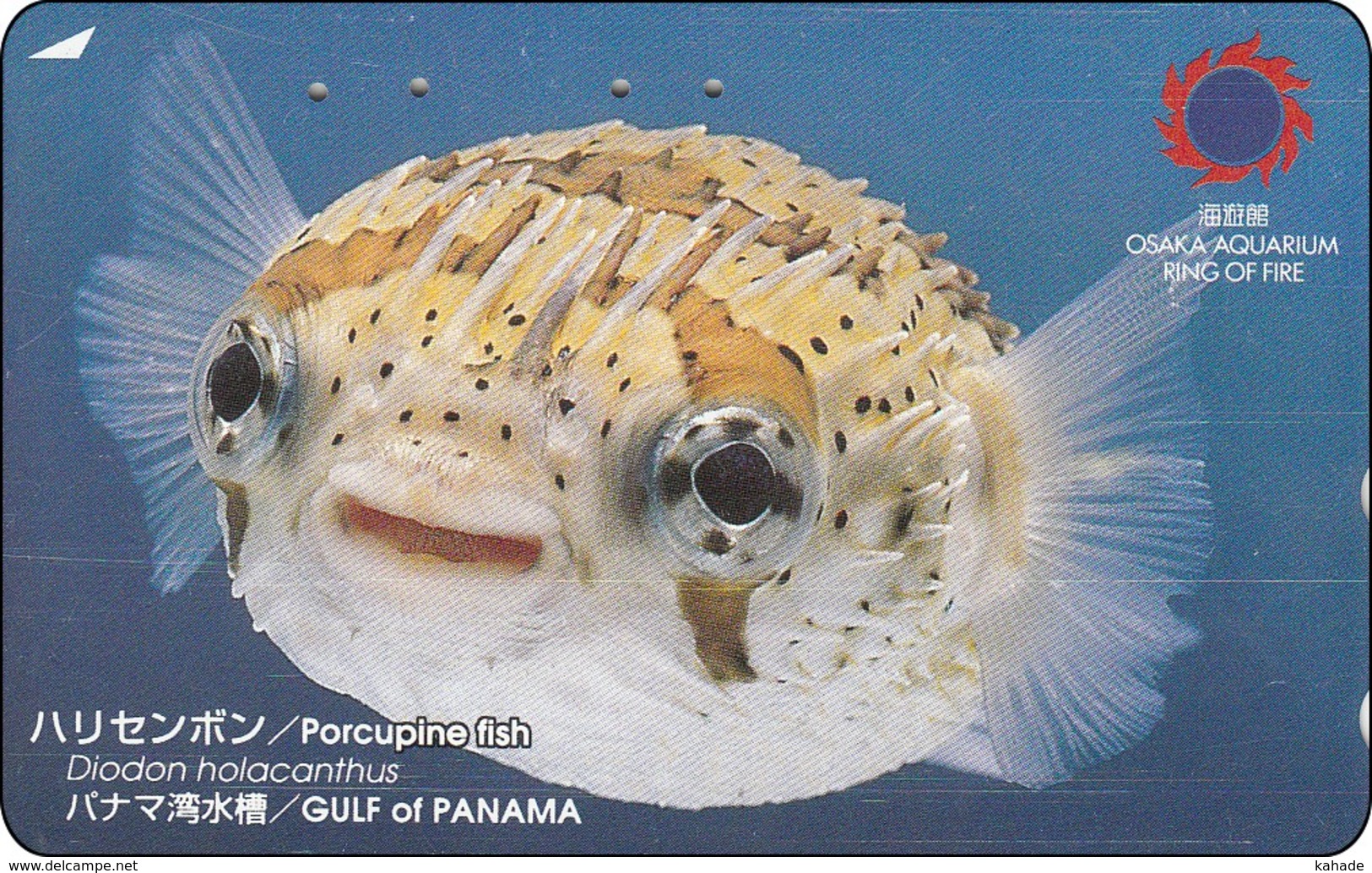 Japan Phonecard Porcupine Fisch Fisk Poisson Ryba - Peces