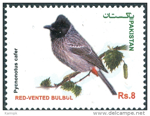 PAKISTAN MNH (**) STAMPS (RED VENTED BULBUL BIRDS OF PAKISTAN SERIES  2013) - Pakistan