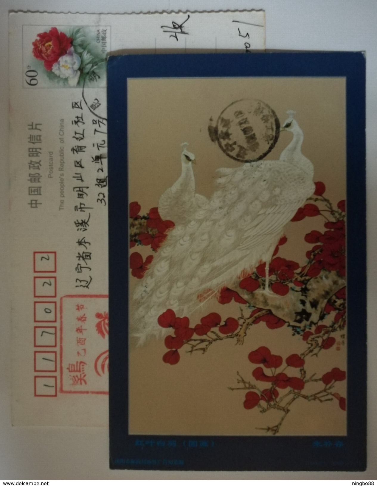 White Peacock,China 2000 Flower & Bird Chinese Painting Postal Stationery Card - Peacocks