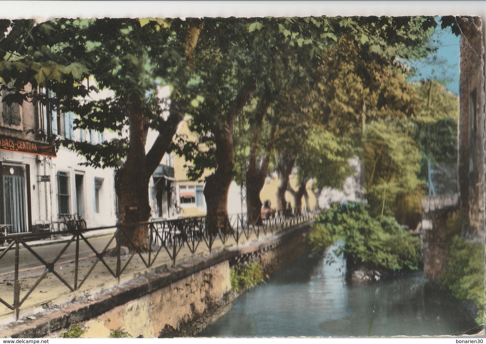 CPSM  84 SORGUES     COURS DE LA REPUBLIQUE  LA SORGUE - Sorgues