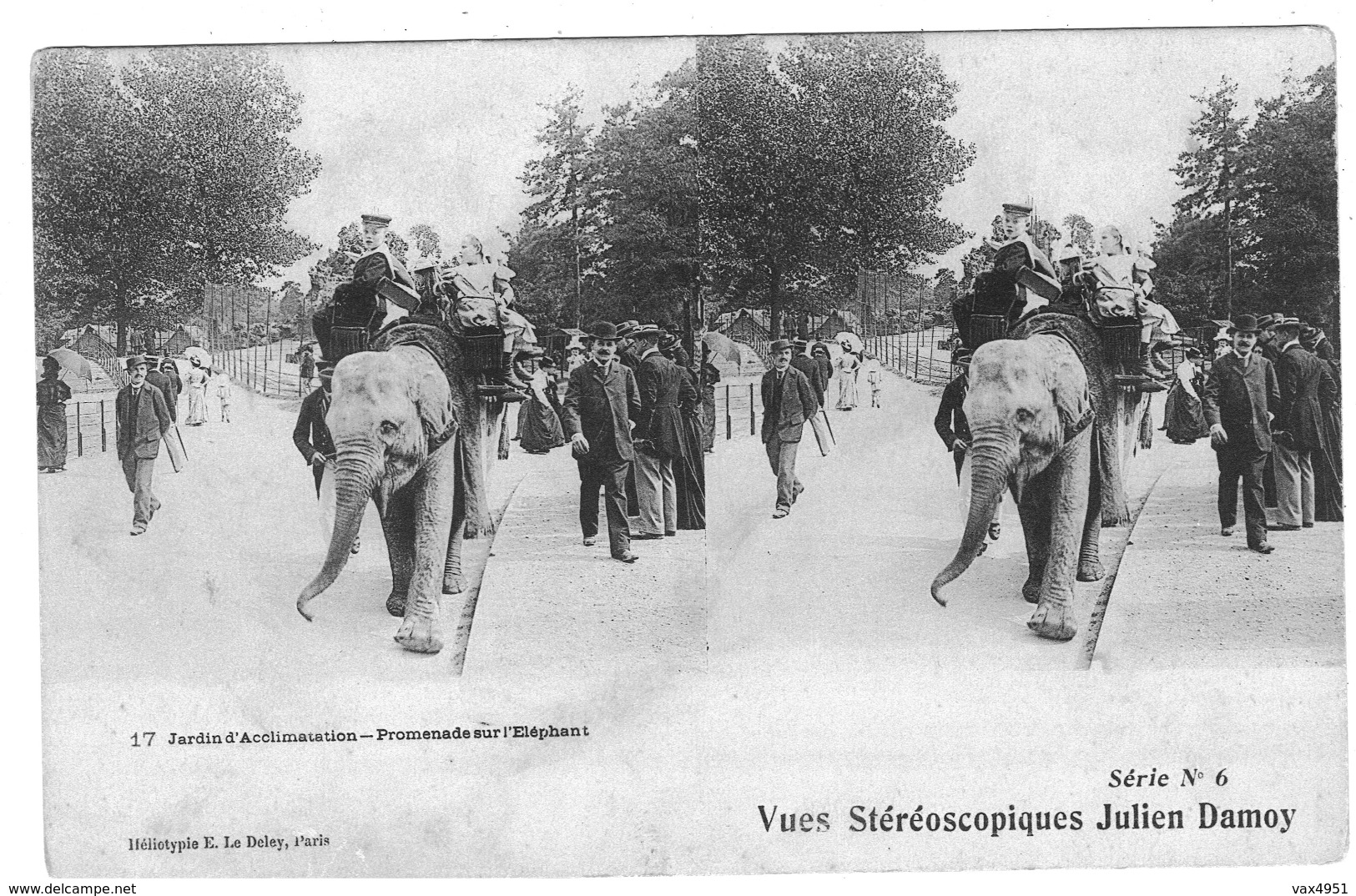 VUES STEREOSCOPIQUES  JULIEN DAMOY  PARIS JARDIN D ACCLIMATATION  L ELEPHANT    ***     A  SAISIR  **** - Stereoscopische Kaarten