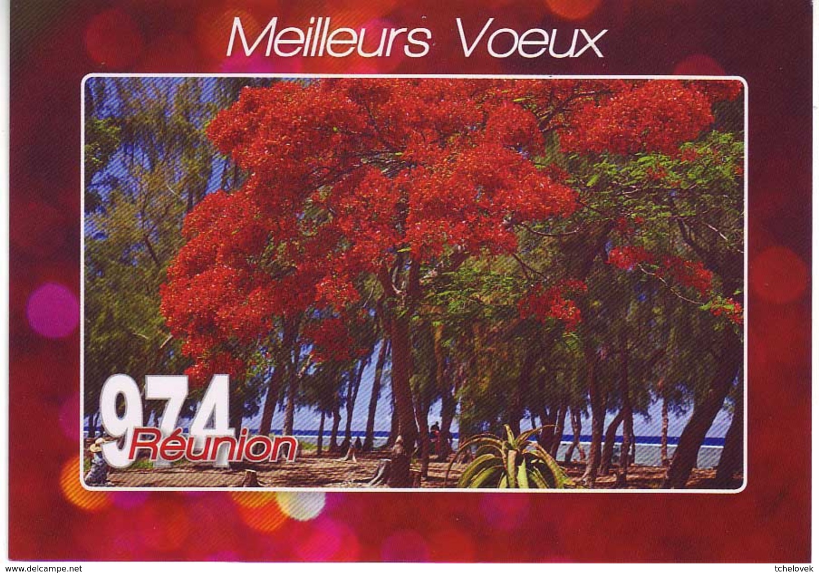 Ile De La Reunion Bonnes Fetes Multivue (16 Vues) Volcan Mer Surf Case Creole...& (5) & Cadre Rouge - Autres & Non Classés