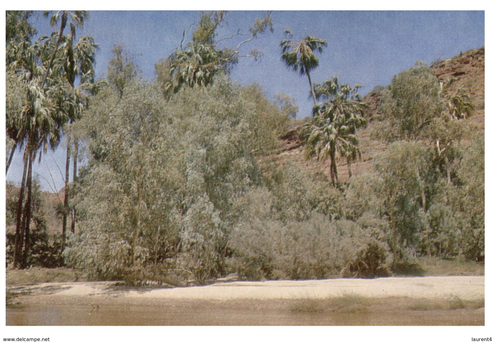 (719) Australia - NT - Finke River - Alice Springs