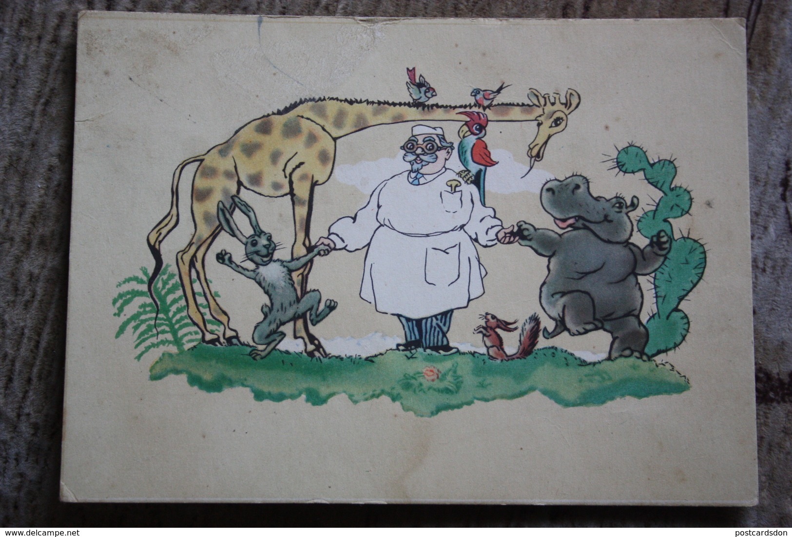 DOCTOR AIBOLIT - DR DOOLITTLE. By Fridkin. OLD USSR PC. 1957 Hippo - Squirrel - Parrot - Hippopotamuses