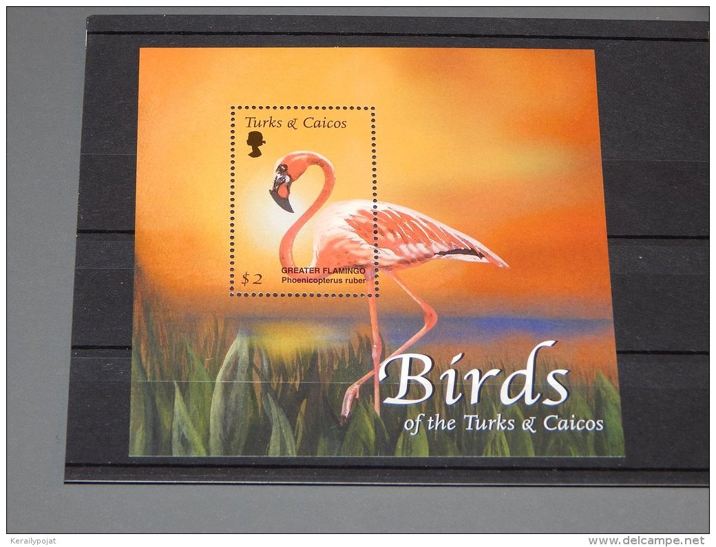 Turks And Caicos - 2002 Birds Block MNH__(TH-14923) - Turks E Caicos