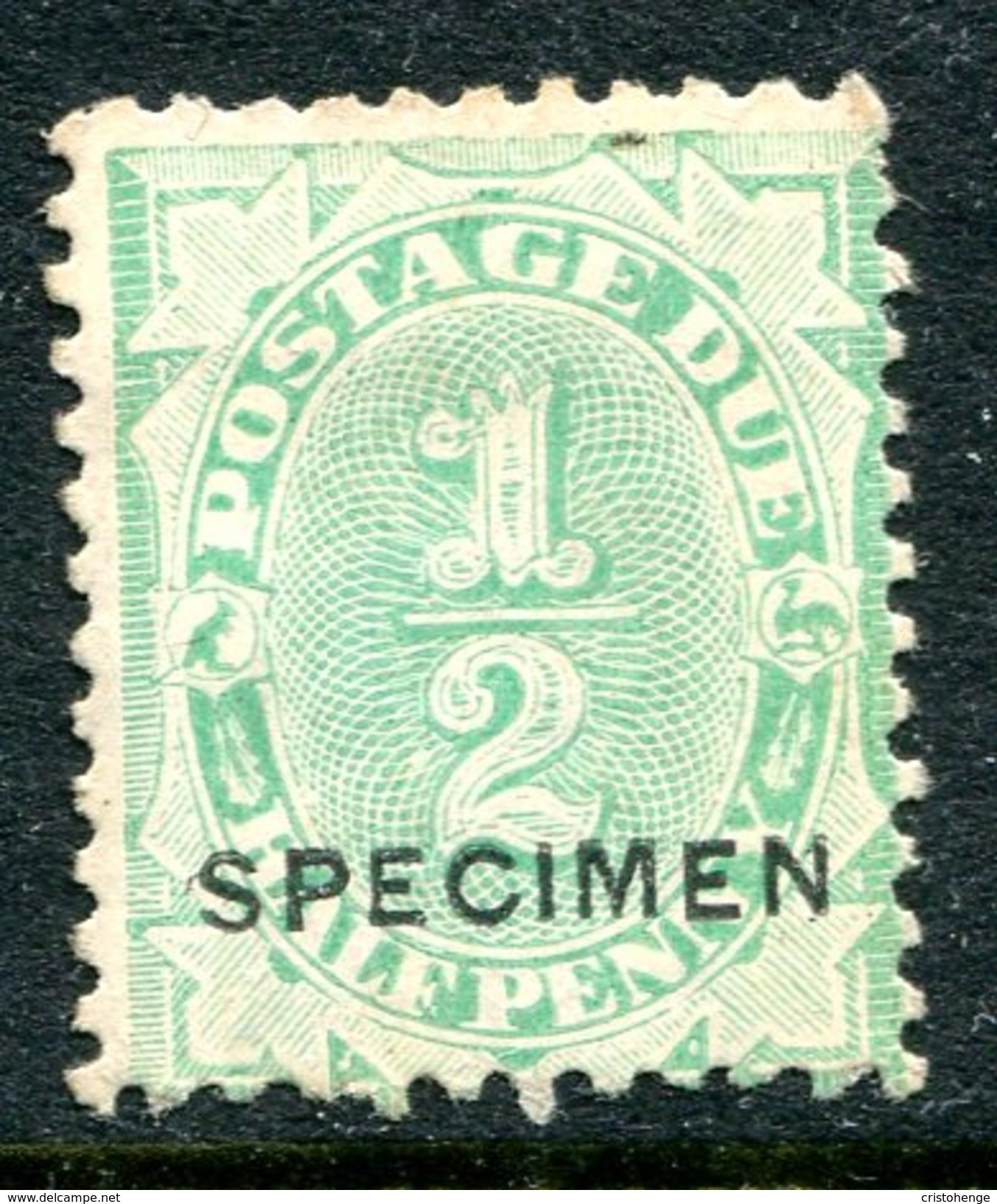 Australia 1902-04 Postage Due - Wmk. NSW - P.11 - ½d Green - SPECIMEN - No Gum (SG D34) - Segnatasse