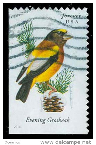 Etats-Unis / United States (Scott No.4887 - Oiseaux Américains / American Birds) (o) P2 - Used Stamps