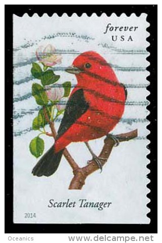 Etats-Unis / United States (Scott No.4888 - Oiseaux Américains / American Birds) (o) P2 - Gebraucht