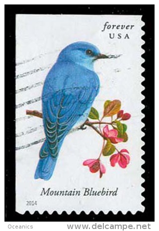 Etats-Unis / United States (Scott No.4883 - Oiseaux Américains / American Birds) (o) P2 - Used Stamps