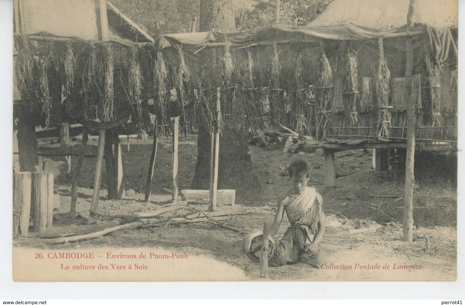 ASIE - CAMBODGE - Environs De PNOM PENH - La Culture Du Ver à Soie - Cambodge