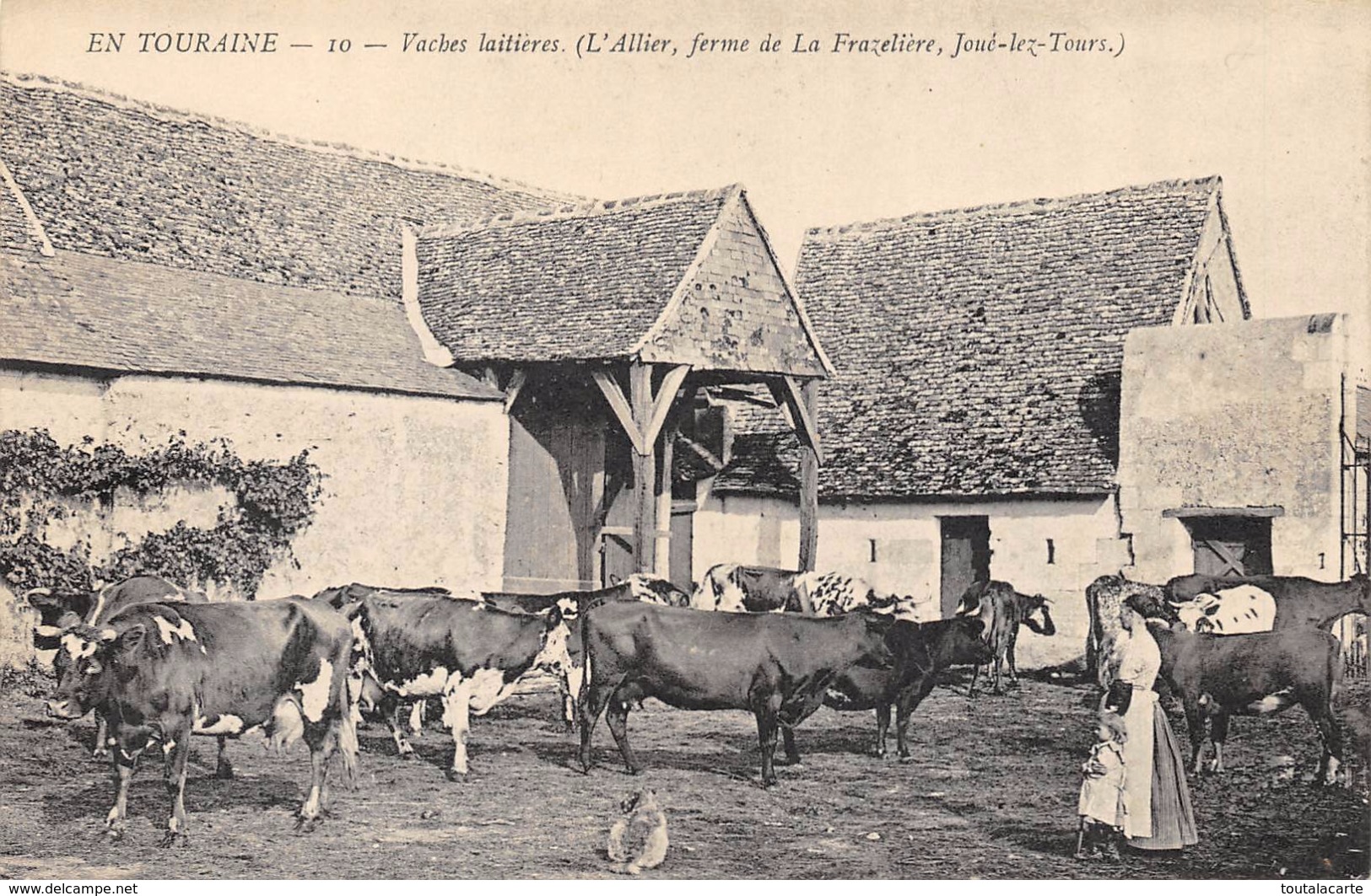 CPA 37 VACHES LAITIERES L ALLIER FERME DE LA FRAZELIERE JOUE LES TOURS - Autres & Non Classés