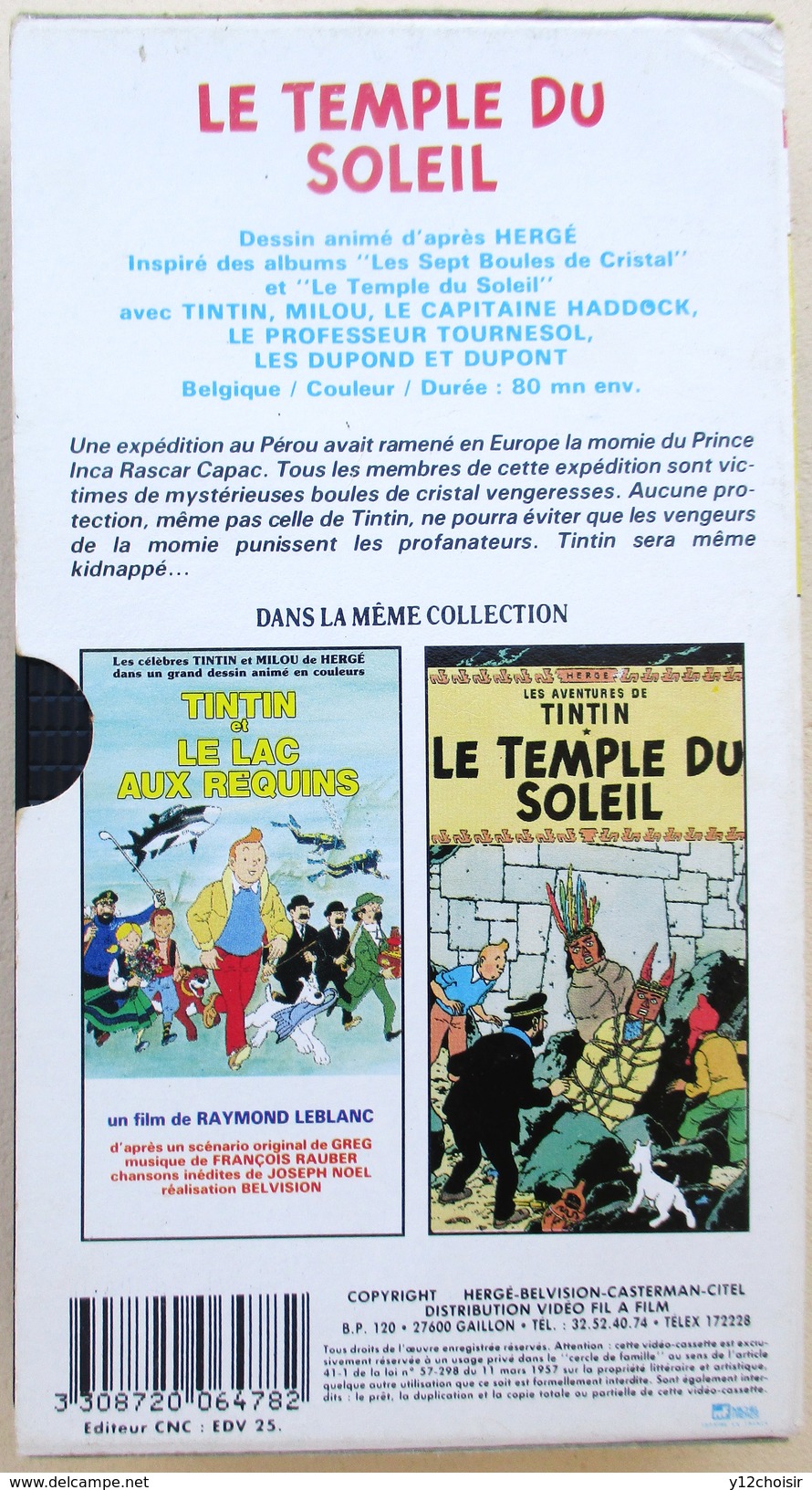 CASSETTE VIDEO VHS SECAM TINTIN LE TEMPLE DU SOLEIL DUREE 80 MN ENV. DESSIN ANIME D APRES HERGE - Dibujos Animados