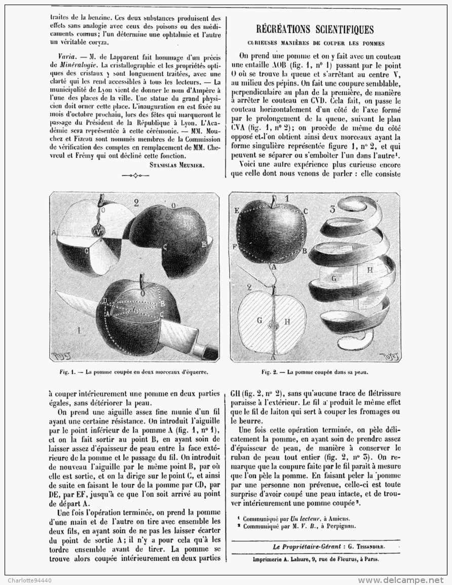 RECREATIONS  SCIENTIFIQUES  ( Curieuse Maniere De Couper Les Pommes )  1888 - Other & Unclassified