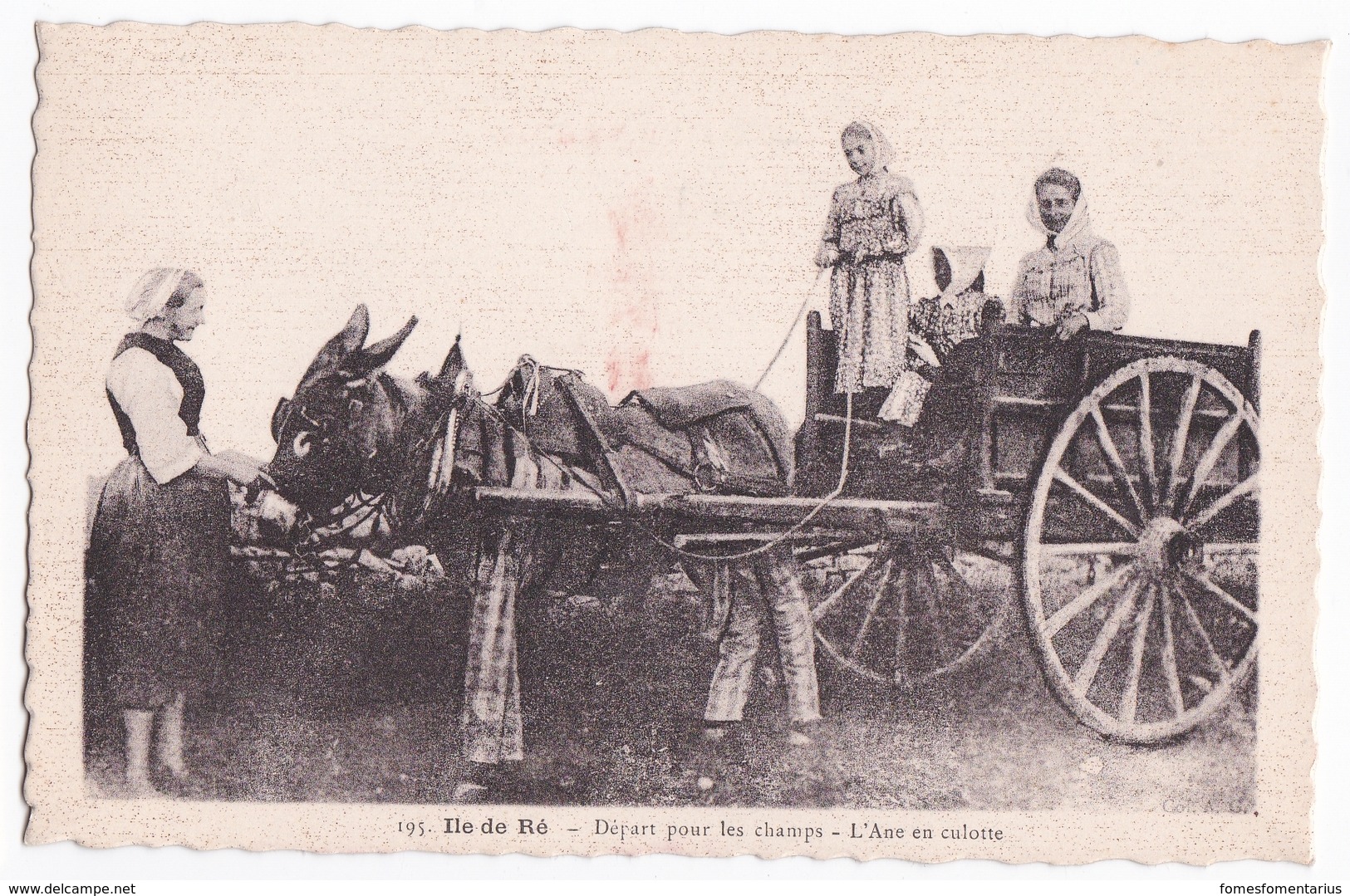 Ancienne Carte Animée, âne à Culottes Ile De Ré, Départ Pour Les Champs - Paysans