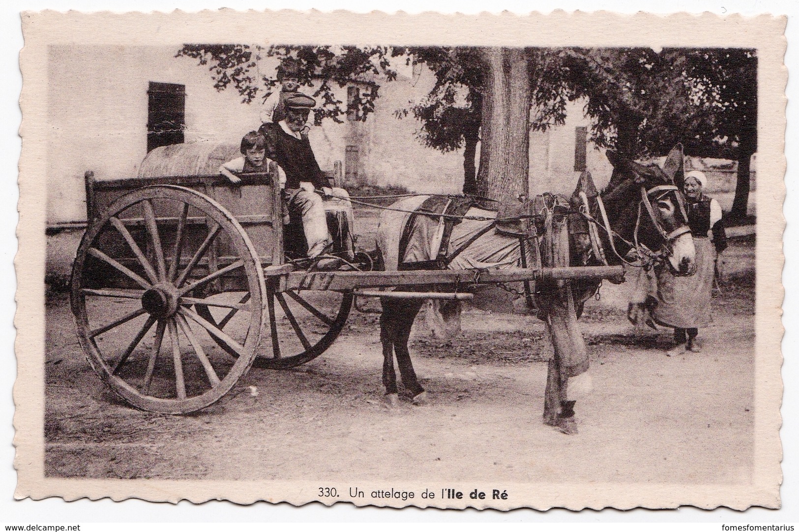 Ancienne Carte Animée, âne à Culottes Ile De Ré, Attelage - Paysans