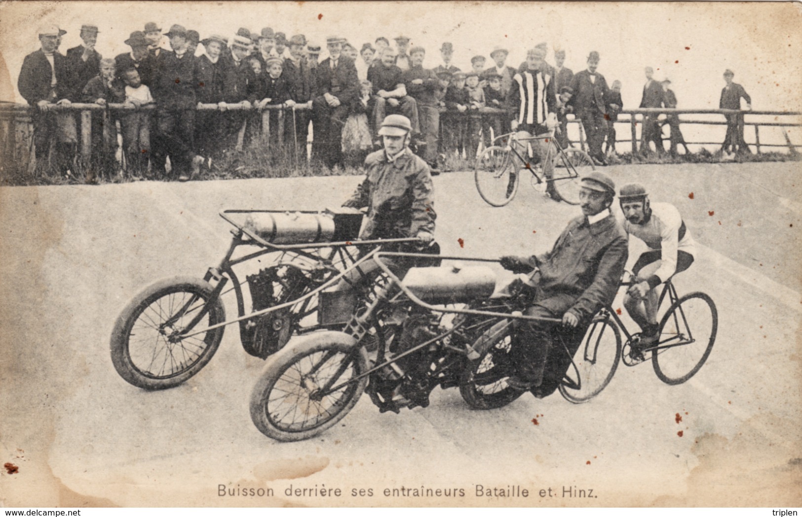 Buisson Derrière Ses Entraineurs Bataille Et Hinz (stayer) - Cyclisme