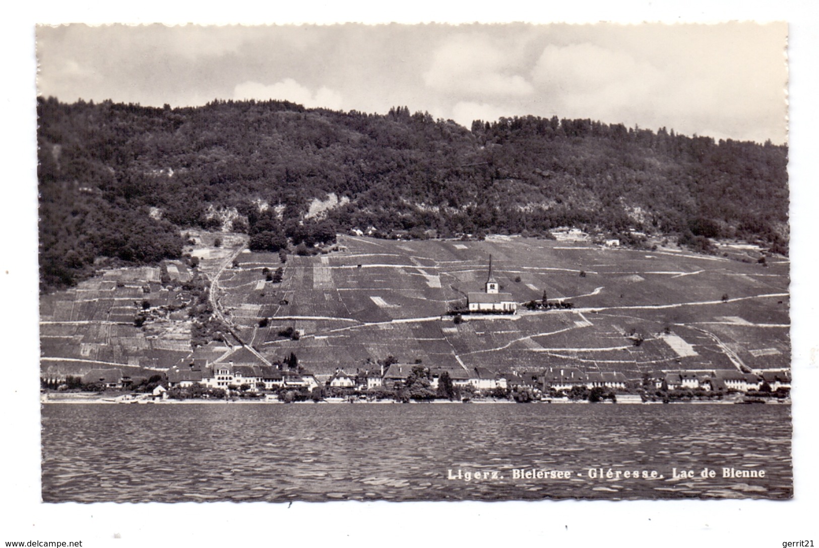 CH 2514 LIGERZ / GLERESSE BE, Panorama Vom Bieler See Aus - Gléresse